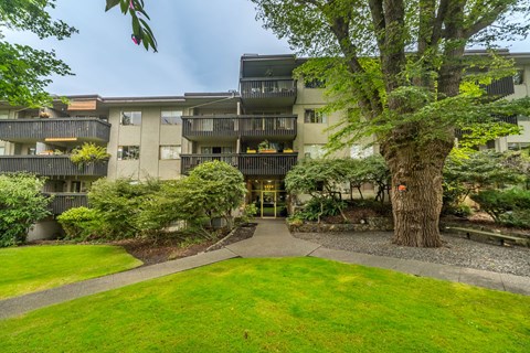 A large tree is in front of a building with a yellow gate.
