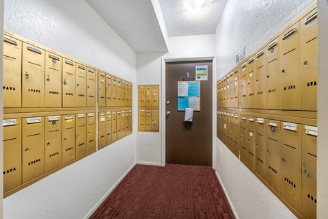 A hallway with a red carpet and a row of lockers on both sides.