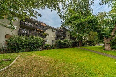 A grassy area in front of a building with a tree and a path.