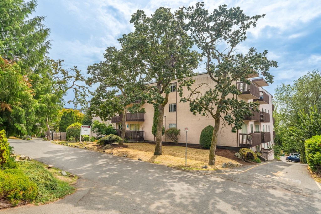 A large tree in front of a building with a sign in front of it.