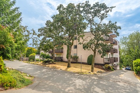 A large tree in front of a building with a sign in front of it.