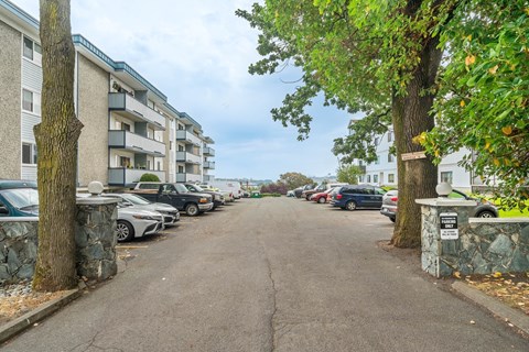 A tree-lined street with cars parked on the side and apartment buildings in the background.