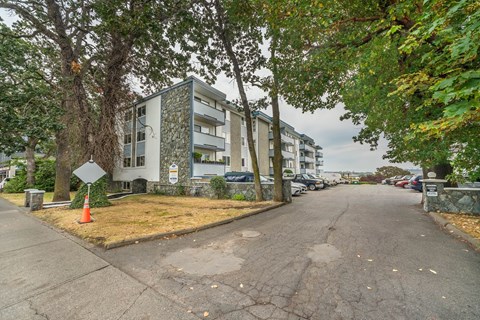 A tree-lined street with apartment buildings on either side.