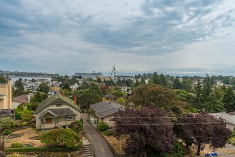 A house with a green lawn and a tree with purple leaves.