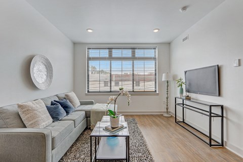 an apartment living room with a couch and a tv