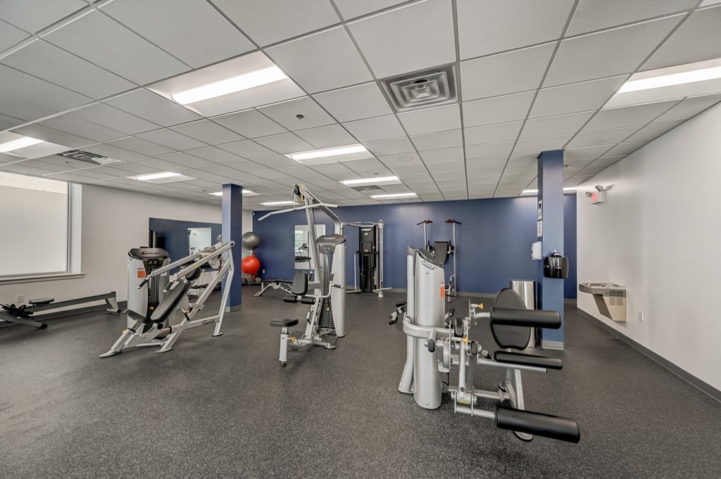 a gym with weights and other exercise equipment in a large room