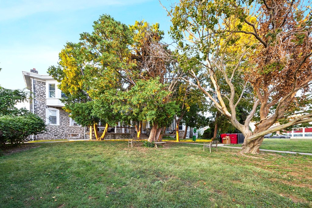 a yard with trees and a house in the background