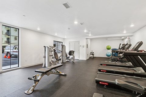 A gym with treadmills, weights, and exercise balls.