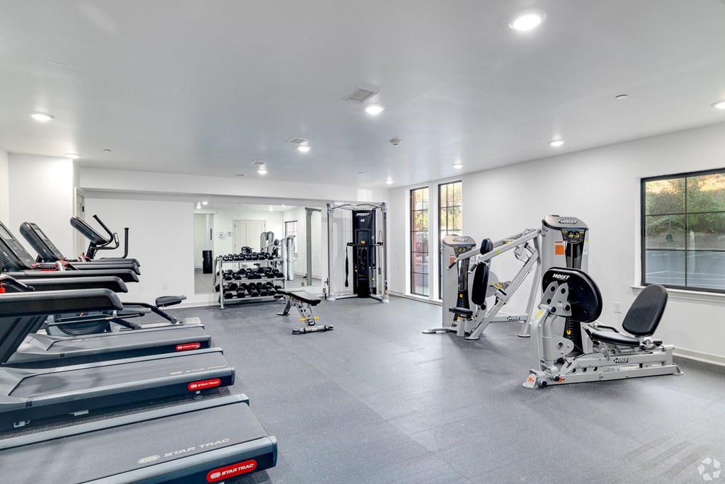 A spacious gym with treadmills, weights, and exercise machines.