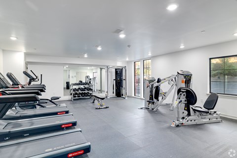 A spacious gym with treadmills, weights, and exercise machines.