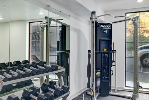 A gym with a Hoist 48 machine and dumbbells.