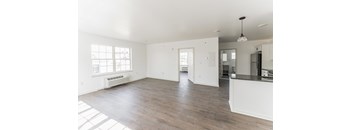 1 Bedroom, 1 Bath - Modern - L