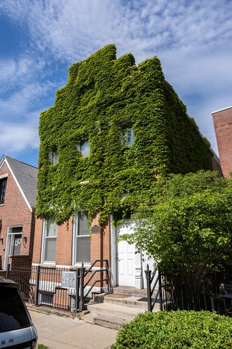 a house covered in ivy in front of a blue sky