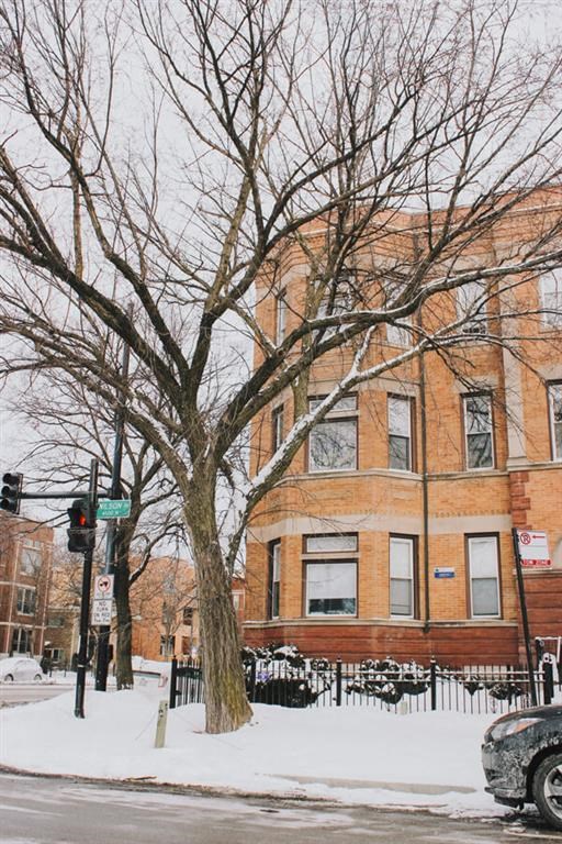 a brick building with a tree in the snow