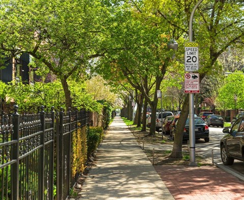 Explore all Chicago has to offer