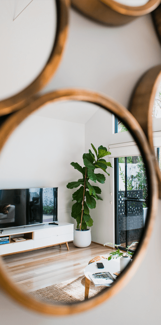 a round mirror with a plant in the middle of it
