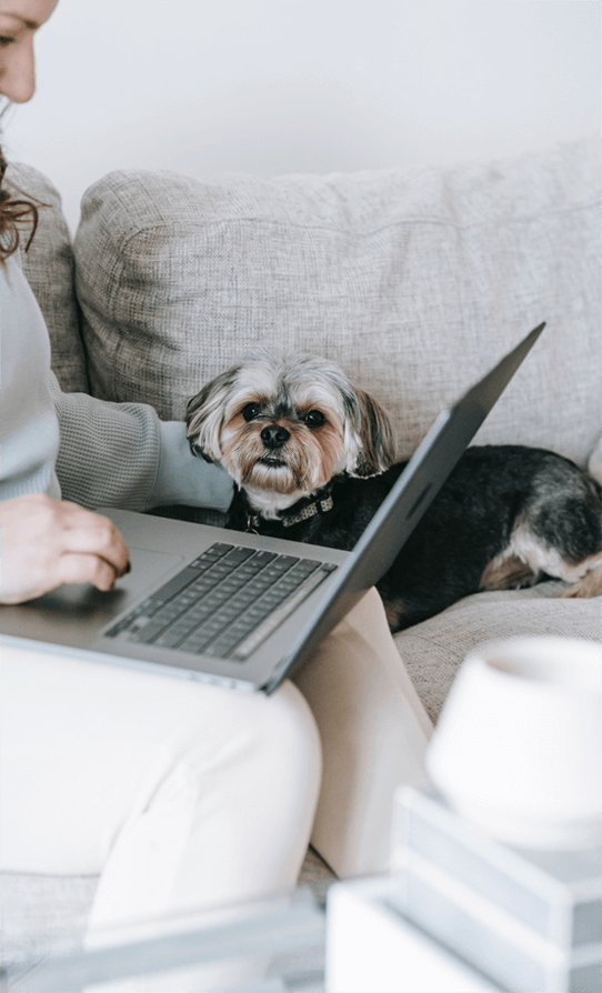 a woman working on her laptop while her dog sits next to her on the couch