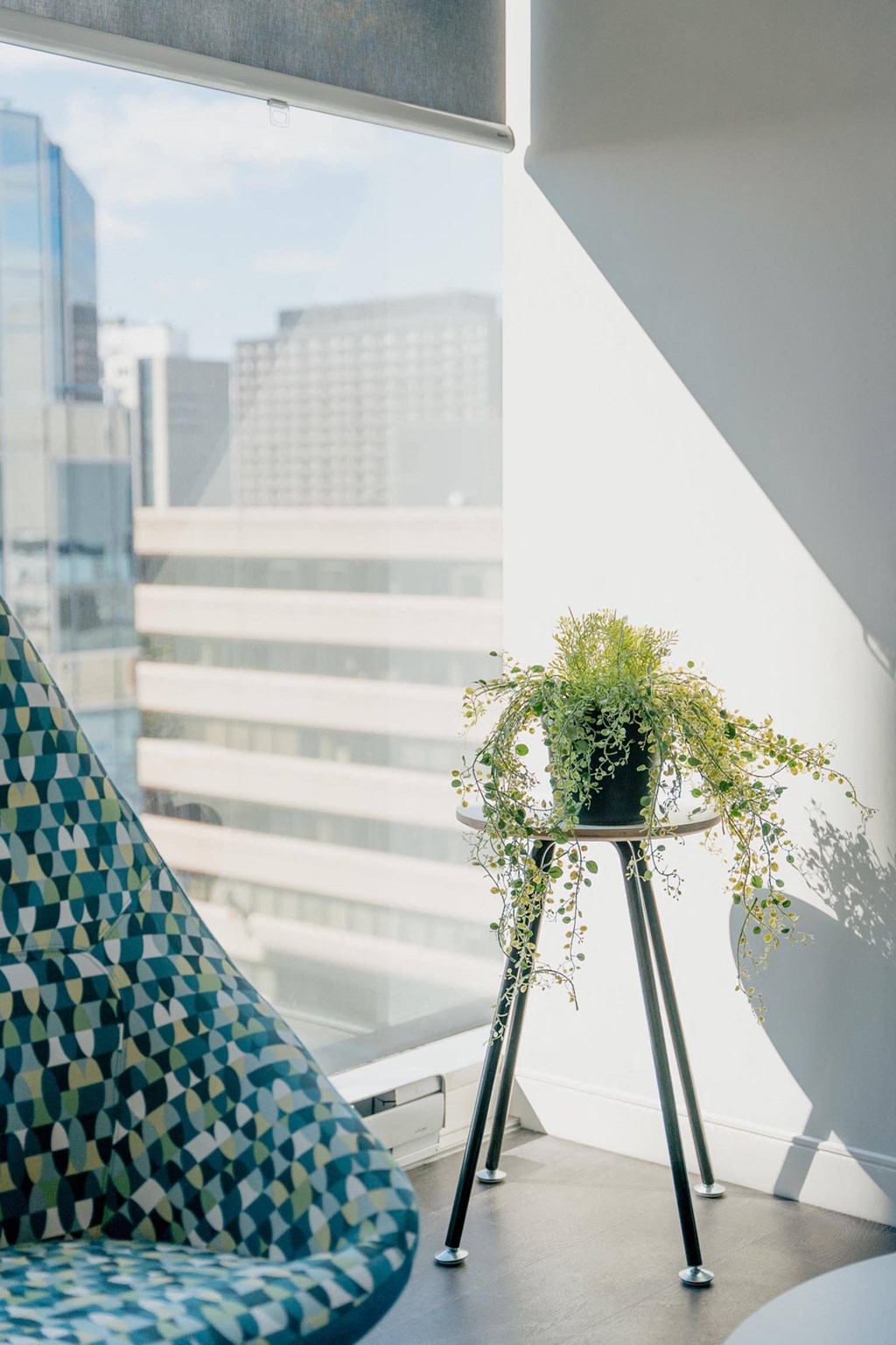 a corner of a room with a blue couch and a small table with a plant on it