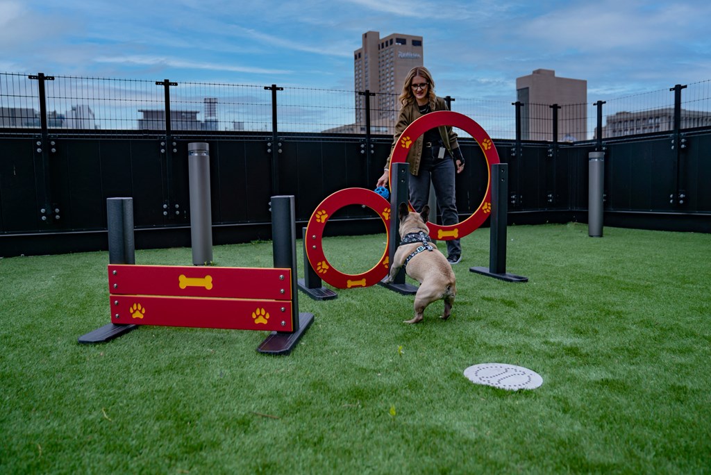 a woman is standing on a grassy roof top with a dog and a frisbee