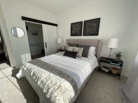 a bedroom with a large bed and a closet