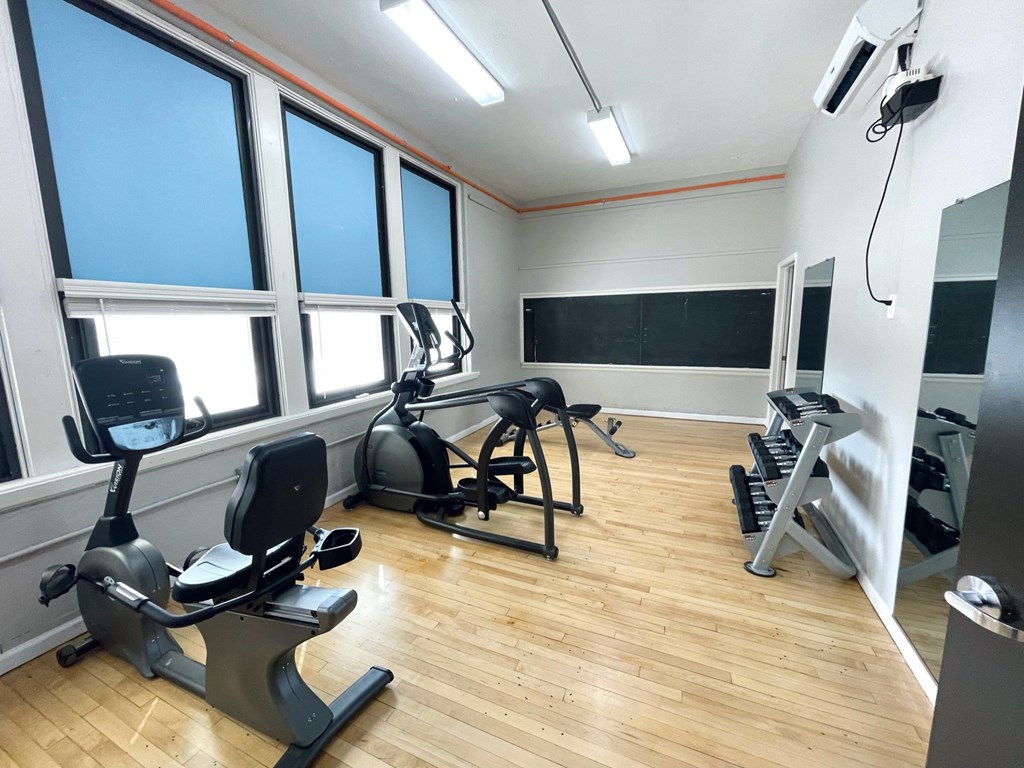 A gym with a row of exercise bikes and a row of treadmills.