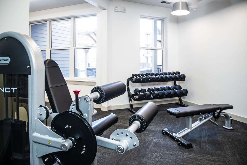 a fitness room with weights and a row of exercise machines