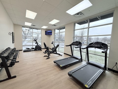 A gym with treadmills, weights, and exercise equipment.