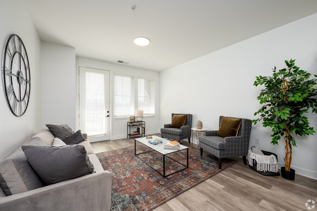 A living room with a grey couch, a coffee table, and a potted plant.