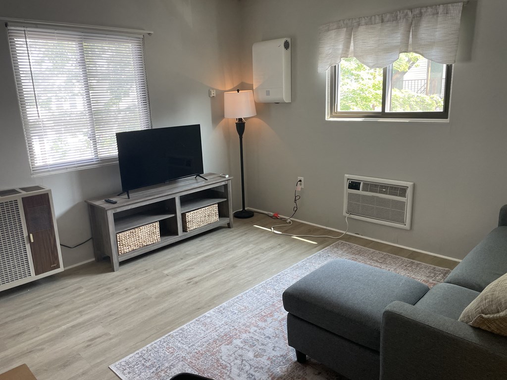 a living room with a couch and a tv