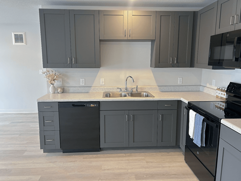 A kitchen with black cabinets and a black dishwasher.
