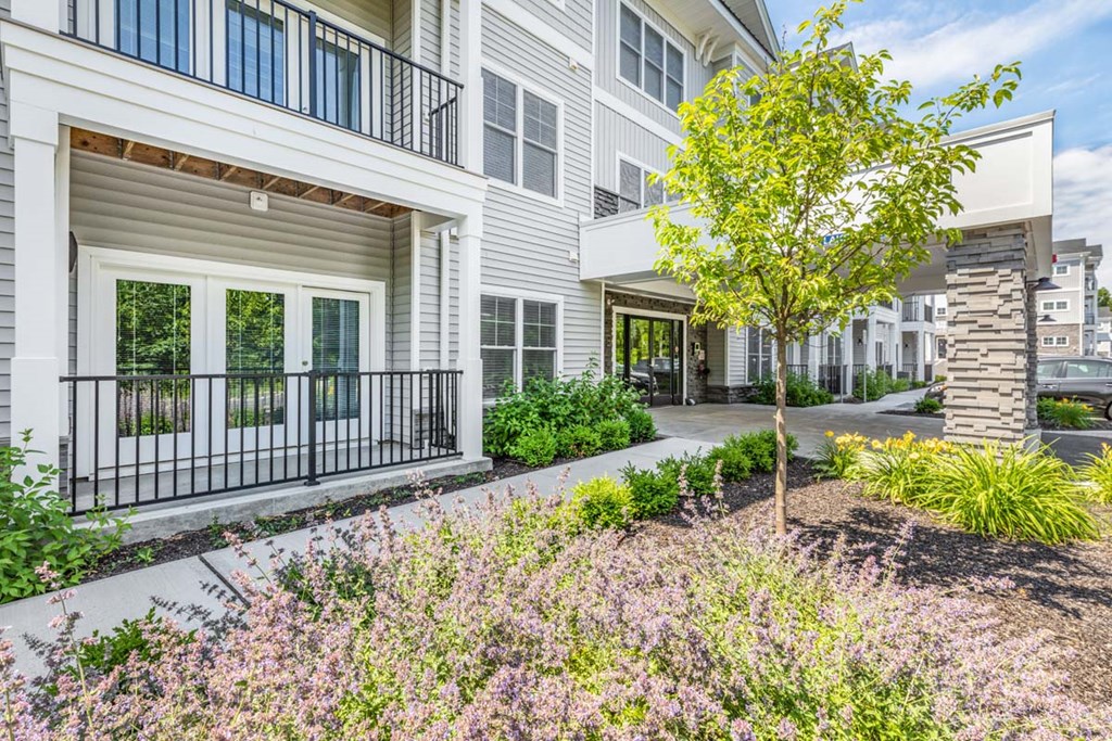 a tree in front of a building with a sidewalk