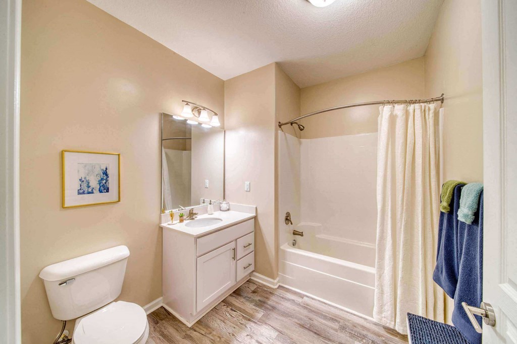 Bathroom at Meridian Obici, Virginia