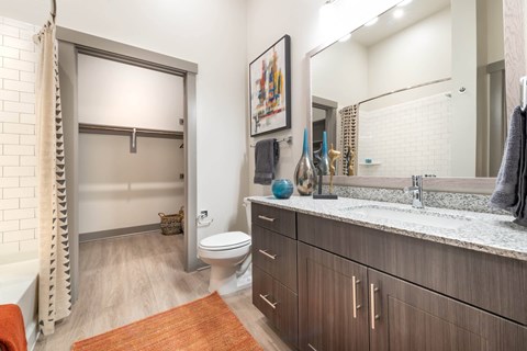 Luxurious Bathroom at The Bridge at McKinney, Texas, 75069