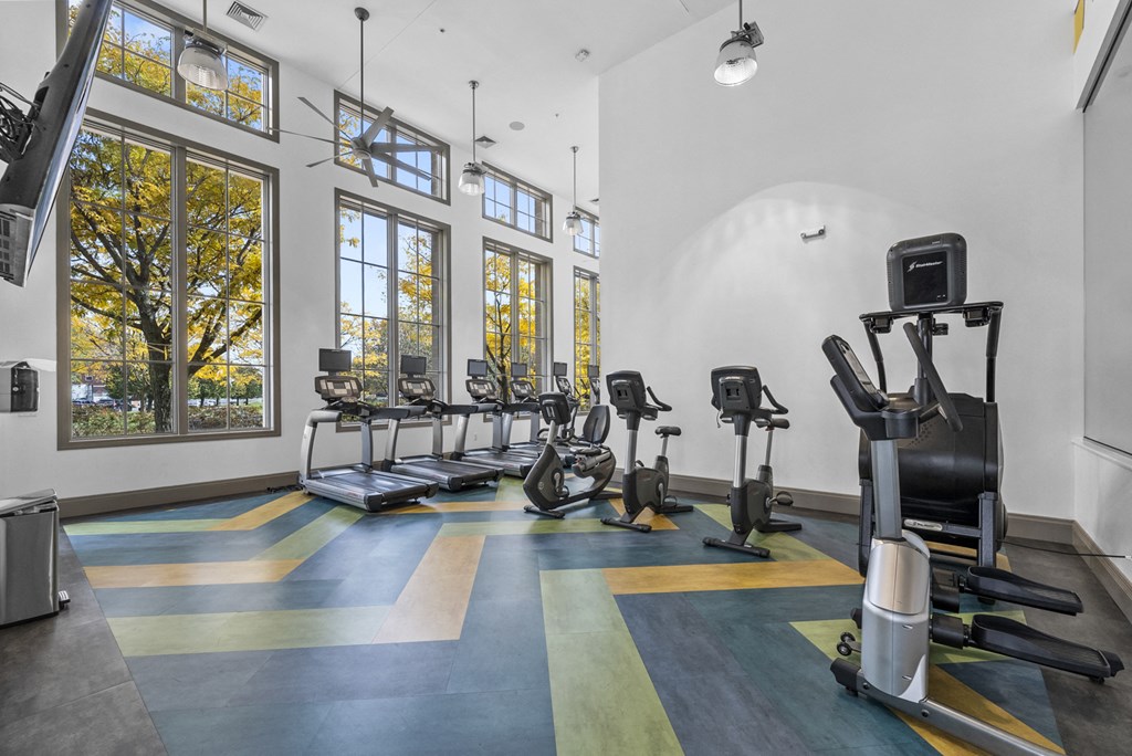 a workout room with treadmills and elliptical trainers at Harbor Pointe in Bayonne, NJ