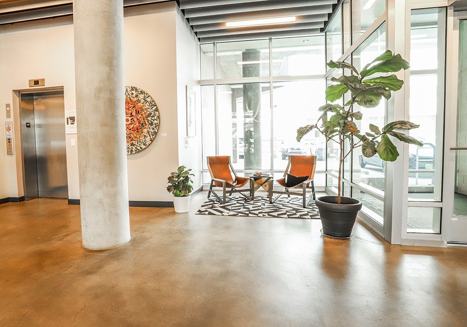 A large room with a plant in a pot and a chair at RiDE at RiNo Apartments, Denver, Colorado