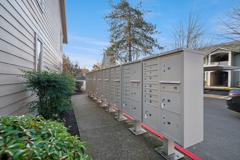 A long row of electrical boxes are lined up on the sidewalk.