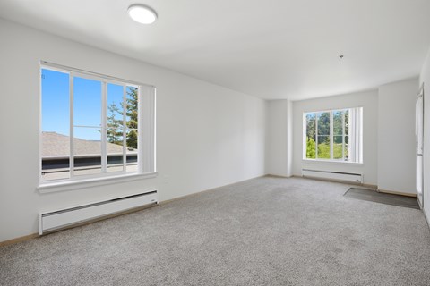 A spacious room with a carpeted floor and two windows.