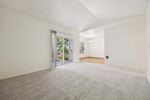 A spacious room with a grey carpet and white walls.