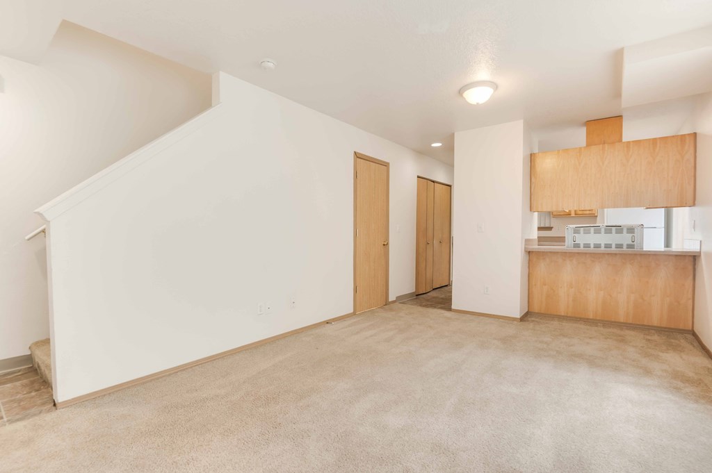 Living Room & Kitchen