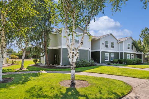 A tree in front of a grey house.