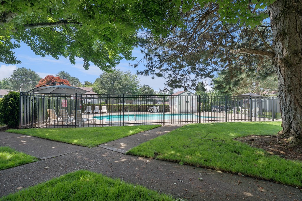 A tree is in the foreground of a photo showing a pool and a fence.