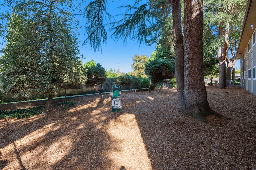 a yard with a tree and a green mower in the middle