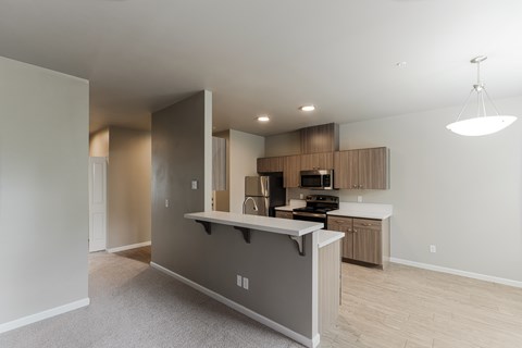 A kitchen with a countertop and cabinets is shown.