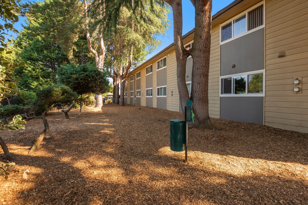 a walkway between two buildings with trees and a green trash can