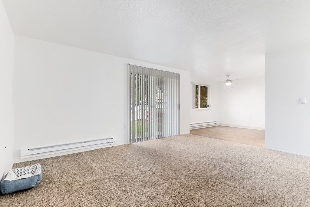 a living room with white walls and carpet and a sliding glass door