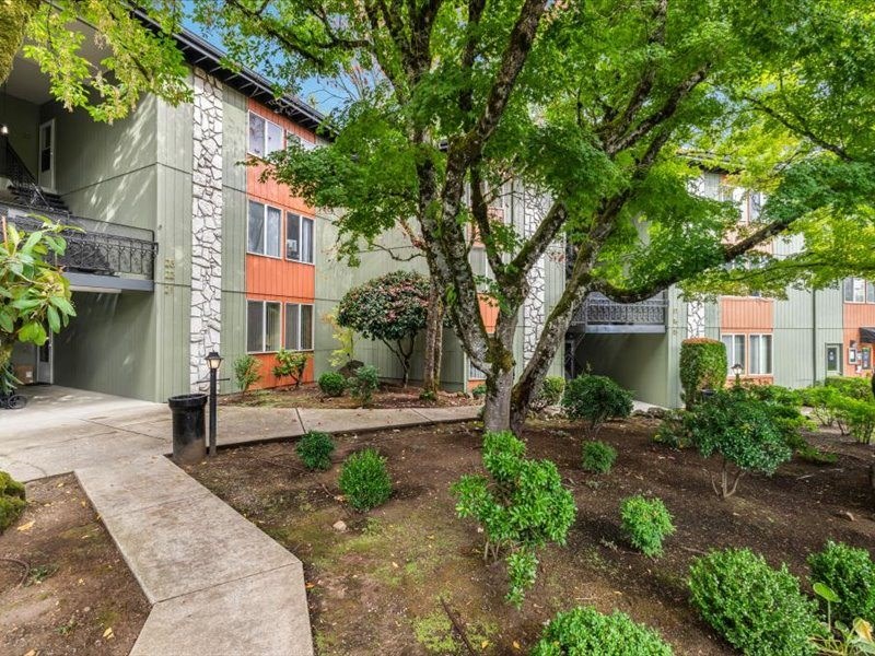 a courtyard with a tree in front of a building