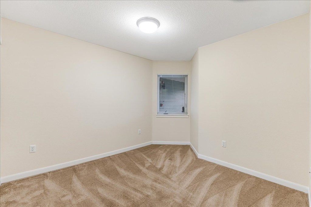 A room with a carpeted floor and a window.