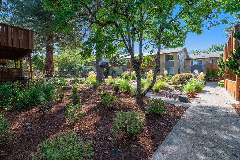 a community garden with trees and plants and a sidewalk