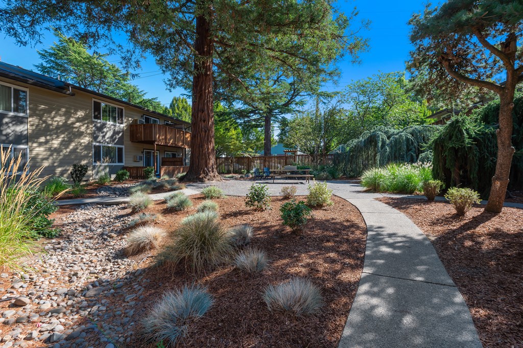 a pathway through a yard with trees and a house