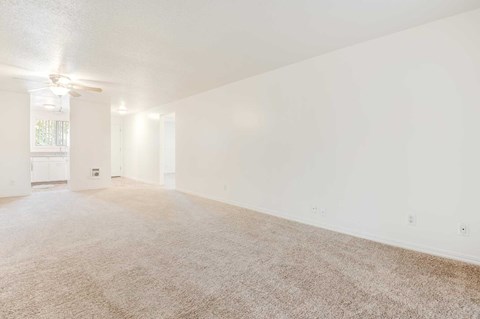 A spacious room with a carpeted floor and a ceiling fan.